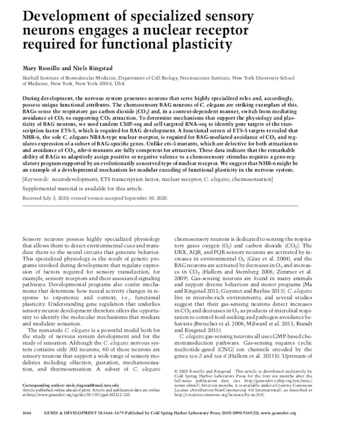 Development of specialized sensory neurons engages a nuclear receptor required for functional plasticity